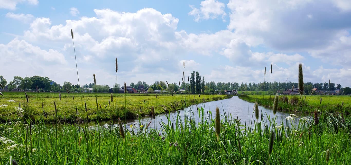 Waarom gemeenten vooroplopen met AI binnen de overheid